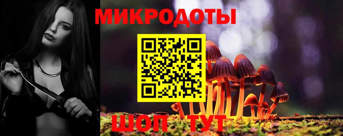 Псилоцибиновые грибы Cubensis Выборг
